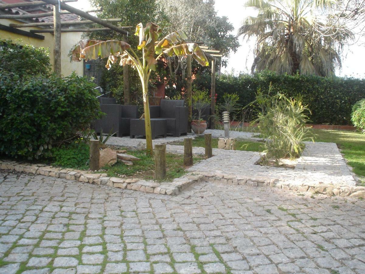 Quinta Da Sao Joao - Villa Oliveira Olhão Kültér fotó