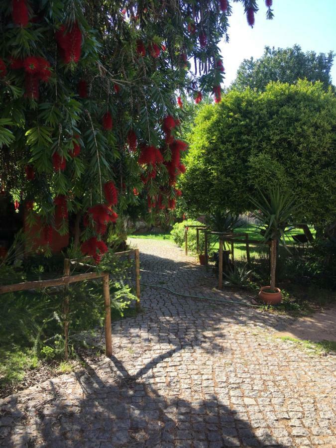 Quinta Da Sao Joao - Villa Oliveira Olhão Kültér fotó